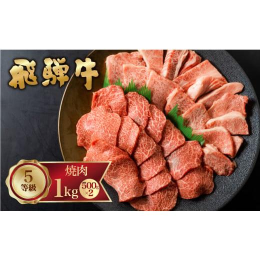 ふるさと納税 牛肉 焼肉・バーベキュー 岐阜県 飛騨市 飛騨牛 霜降り(ロース・カタロース)/赤身(モモ・カタ) 焼肉 計1kg バーベキュー BBQ やきにく A5 5等…