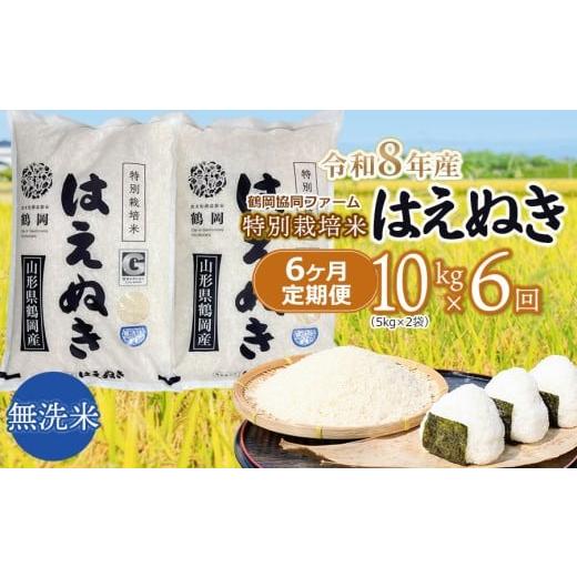 ふるさと納税 米 はえぬき 山形県 鶴岡市 令和8年産先行予約 特別栽培米はえぬき無洗米 10kg (5kg×2袋)×6ヶ月 定期便 鶴岡協同ファーム