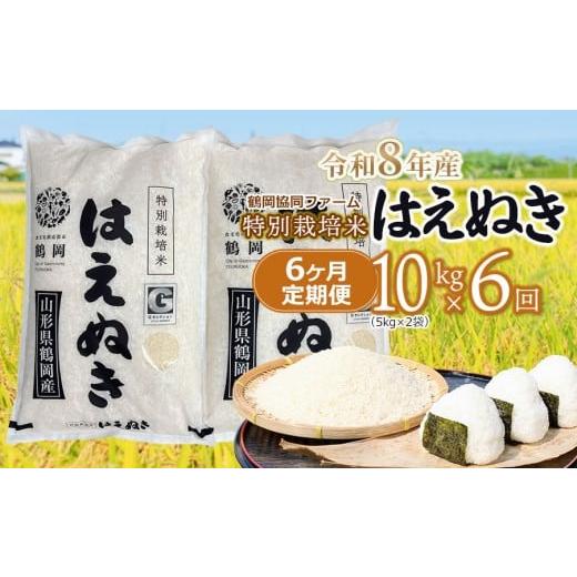 ふるさと納税 米 はえぬき 山形県 鶴岡市 令和8年産先行予約 特別栽培米はえぬき 精米 10kg (5kg×2袋)×6ヶ月 定期便 鶴岡協同ファーム
