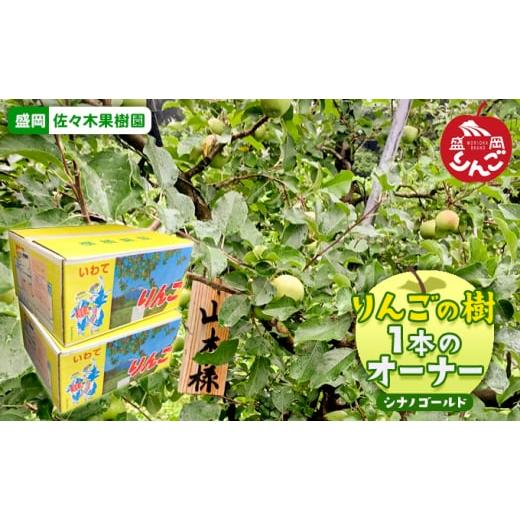 ふるさと納税 体験チケット 岩手県 盛岡市 先行予約[定期便]佐々木果樹園 乙部角屋 りんごの樹(シナノゴールド)1本のオーナー(収穫したりんご約15kgを2回…