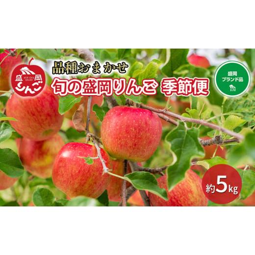 ふるさと納税 りんご 岩手県 盛岡市 先行予約 りんご工房きただ 旬の 盛岡りんご「季節便」5kgりんご(10月〜2月末便)