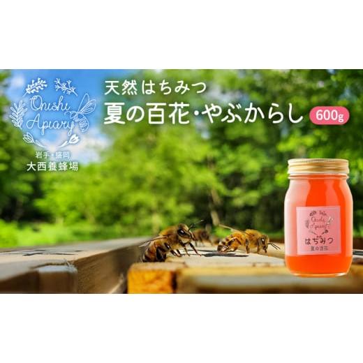 ふるさと納税 加工品等 はちみつ 岩手県 盛岡市 盛岡市 大西養蜂場 無添加・非加熱 はちみつ[夏の百花(やぶからし)]600g