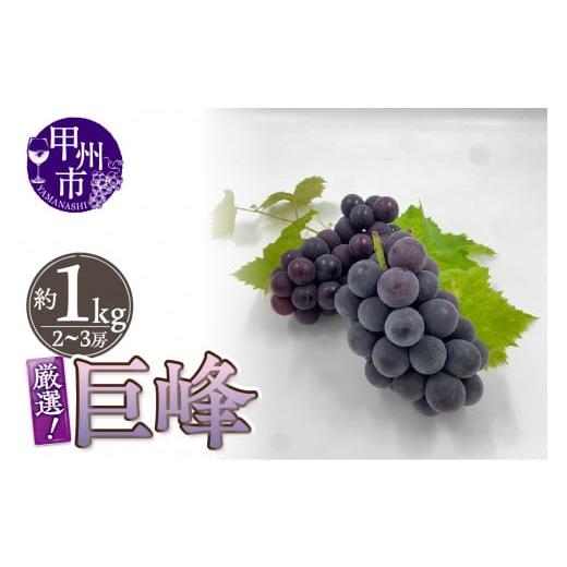 ふるさと納税 ぶどう 巨峰 山梨県 甲州市 厳選 山梨県甲州市産 巨峰 約1kg(2〜3房) 2026年発送 (THR)B-804 巨峰 ぶどう 葡萄 ブドウ 令和8年発送 期間限定…