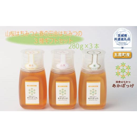 ふるさと納税 加工品等 はちみつ 茨城県 那珂市 数量限定 山桜はちみつと春の田舎はちみつの3種ギフトセット B3山桜 茨城県共通返礼品 五霞町生ハチミツ 非加…の画像
