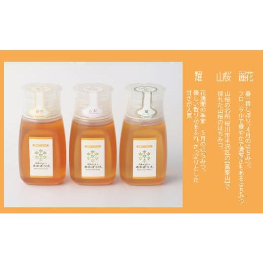 ふるさと納税 加工品等 はちみつ 茨城県 那珂市 数量限定 山桜はちみつと春の田舎はちみつの3種ギフトセット B3山桜 茨城県共通返礼品 五霞町生ハチミツ 非加…の画像