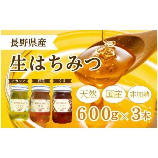 ふるさと納税 加工品等 はちみつ 長野県 上田市 国産 生はちみつ 600g 