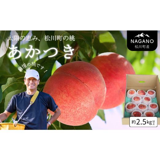 ふるさと納税 もも 長野県 松川町 KM01-26A 先行予約 桃 あかつき 2.5kg以上(7〜10玉)/2026年7月下旬頃〜配送予定 // 長野県 南信州 松川町 モモ 贈答 産…