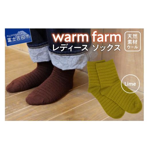 ふるさと納税 小物 山梨県 富士吉田市 光吸収発熱ウール「ウォームファーム ソックス」ライム ライム