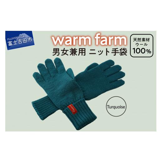 ふるさと納税 小物 山梨県 富士吉田市 手袋 光吸収発熱ウール 「 ウォームファーム ニット手袋 」 ターコイズ 暖かい ウール 発熱素材 レディース メンズ 秋 …