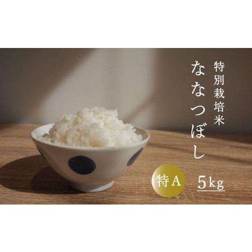 ふるさと納税 北海道 当麻町 令和5年産 特別栽培米ななつぼし 5kg 舟山農産