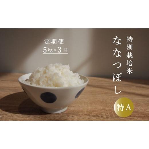 ふるさと納税 北海道 当麻町 [定期便]特別栽培米ななつぼし 5kg×3回 舟山農産