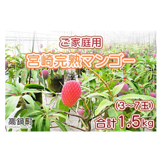 ふるさと納税 マンゴー 宮崎県 高鍋町 先行予約 宮崎県産 完熟マンゴー 「家庭用」(約1.5kg) 果物 フルーツ マンゴー くだもの 特産品 完熟 国産 宮崎県 高…