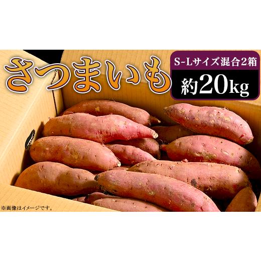 ふるさと納税 茨城県 阿見町 66-07 さつまいも 約20kg S〜Lサイズ混合2箱 生芋 紅はるか｜furusatochoice｜02