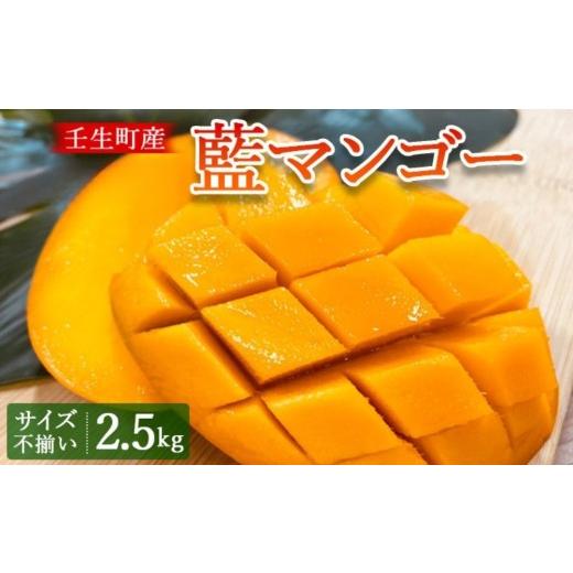 ふるさと納税 マンゴー 栃木県 壬生町 壬生町産藍マンゴー 2.5kg サイズ不揃い | マンゴー フルーツ 果物 くだもの 国産 栃木県 壬生町 2026年7月〜発送