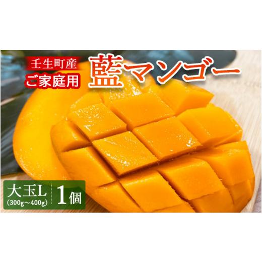 ふるさと納税 マンゴー 栃木県 壬生町 壬生町産家庭用藍マンゴー 大玉L(300g〜400g)1個 | マンゴー フルーツ 果物 くだもの 国産 栃木県 壬生町 2026年7月〜…