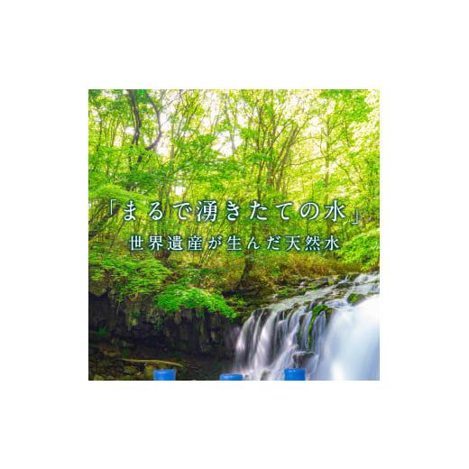 ふるさと納税 富士忍野 Mt．Fuji Springs 8L×3本 1ケース 6014374 ふるさとチョイス 通販