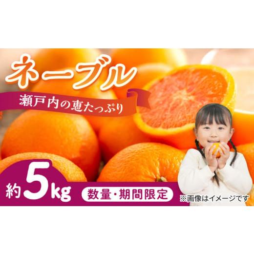 ふるさと納税 みかん・柑橘類 オレンジ 広島県 江田島市 瀬戸内の恵たっぷり ネーブル 5kg 柑橘 果物 フルーツ ふるーつ みかん 蜜柑 柑橘 冬 スムージー ヨ…