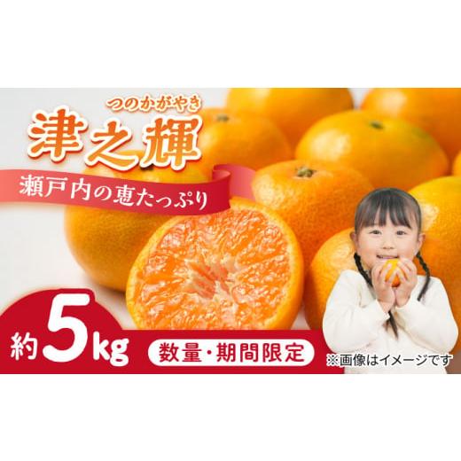 ふるさと納税 みかん・柑橘類 オレンジ 広島県 江田島市 瀬戸内の恵たっぷり 柑橘 津之輝 5kg 果物 フルーツ ふるーつ みかん 蜜柑 柑橘 冬 スムージー ヨー…
