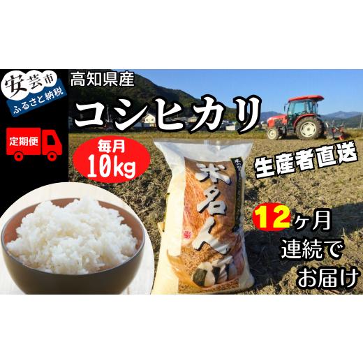 ふるさと納税 米 コシヒカリ 高知県 安芸市 令和7年産 コシヒカリ 白米 12ヵ月連続 定期便 10kg × 12回 120kg コシヒカリ5kg 3回分