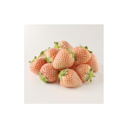 ふるさと納税 自治体にお任せ 佐賀県 玄海町  計10回お届け おすすめ定期便（10回） |  | 03