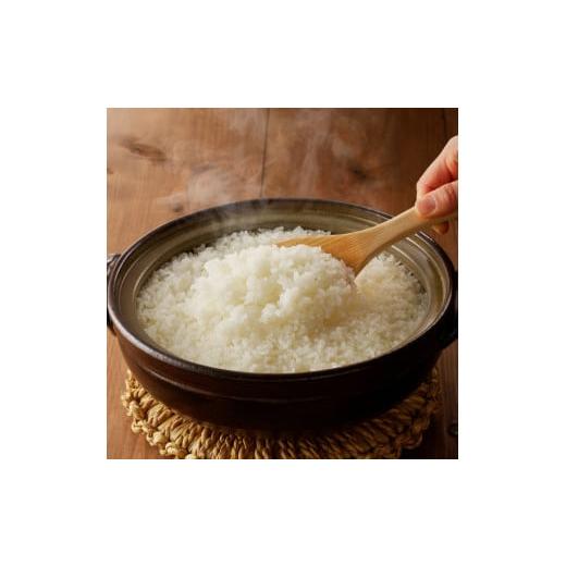 ふるさと納税 自治体にお任せ 佐賀県 玄海町  計12回お届け おすすめ定期便（12回） |  | 06