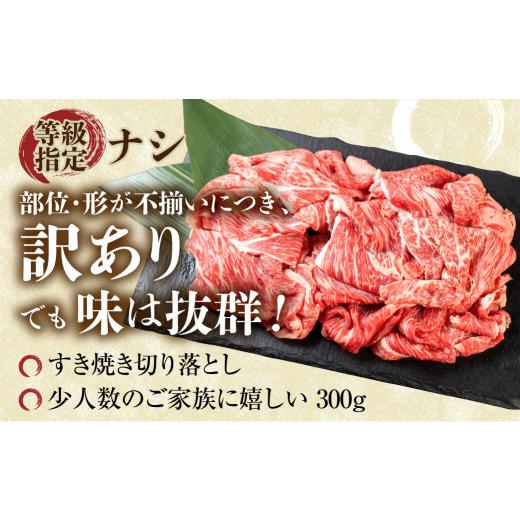 牛肉 すき焼き 岐阜県 白川村  定期便 訳あり 飛騨牛 切落し 3回 計1.8kg ( 600g ×3回 【生姜焼き】 ) S607