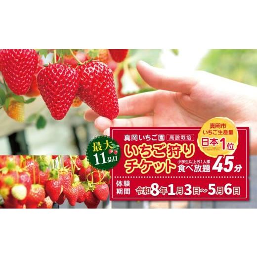 ふるさと納税 体験チケット 栃木県 真岡市 いちご狩り 体験チケット お1人様 大人 (小学歳以上) | いちご 苺 イチゴ ストロベリー 11品種 食べ放題 45分 高設 …