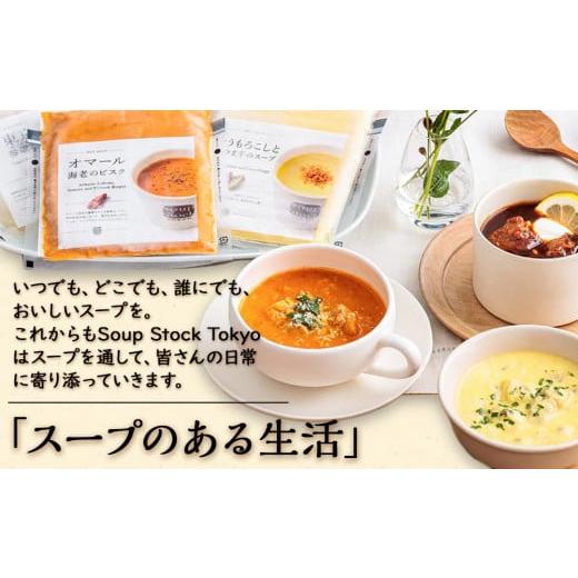 ふるさと納税 惣菜・レトルト 冷凍 静岡県 静岡市 スープストック