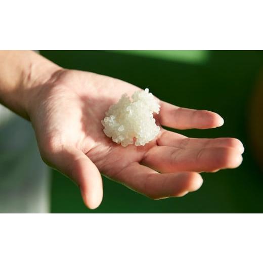 ふるさと納税 岩手県 陸前高田市 ［酔仙酒造］雪っこ180ml×15本セット(段ボール入り) 段ボール入り