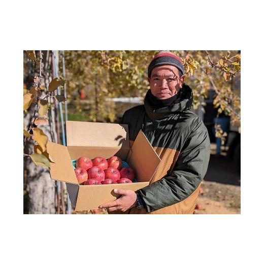 ふるさと納税 りんご 長野県 中川村 農家直送 富永農園の秋のりんご サンふじ 3kg箱(1段詰め) 富永農園の秋のりんご サンふじ 3kg箱(1段詰め)