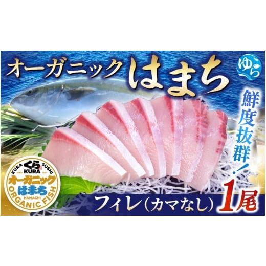 ふるさと納税 旬の鮮魚等 和歌山県 由良町 くら寿司 オーガニック はまち 1尾 フィレ(カマなし)約2.1kg〜2.4kg / ハマチ 丸ごと 刺身 数量限定 期間限定 2…