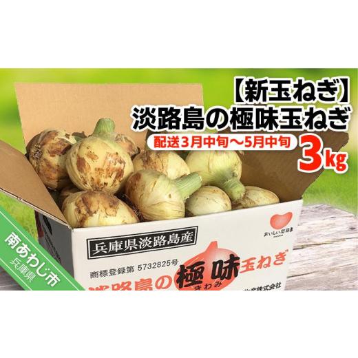 ふるさと納税 野菜類 玉ねぎ 兵庫県 南あわじ市  新玉ねぎ 極上の味 淡路島の極味玉ねぎ 3kg  配送３月中旬〜5月中旬の画像