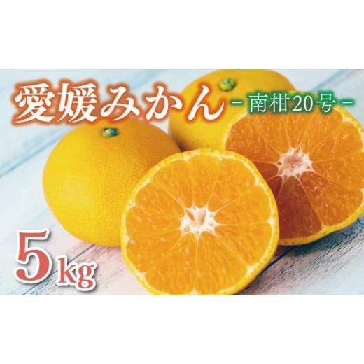 ふるさと納税 果物類 みかん 愛媛県 愛南町 先行予約 正規品 みかん 5kg 愛媛みかん 南柑20号 12000円 贈答用 ギフト 濃厚 完熟 甘い 蜜柑 こたつ 冬 果物 柑…