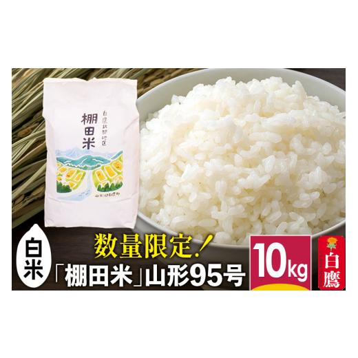 ふるさと納税 米 山形県 白鷹町 白米 山形県産 棚田米 白鷹ほまれ 10kg 令和7年産 山形95号 令和7年産 米 お米 精米 コメ おこめ ごはん ご飯 白米 10キロ