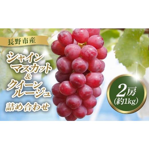 ふるさと納税 ぶどう 長野県 長野市 J1055 クイーンルージュ・シャインマスカット2房(約1kg)詰合せ(本気農場いけだ)