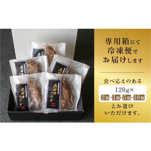 ふるさと納税 肉 ハンバーグ 岐阜県 郡上市 飛騨牛100％無添加ハンバーグ 10個 生ハンバーグ 牛 100% 焼くだけ デミグラスソース付 冷凍／ 食品 惣菜 洋風惣菜…_7