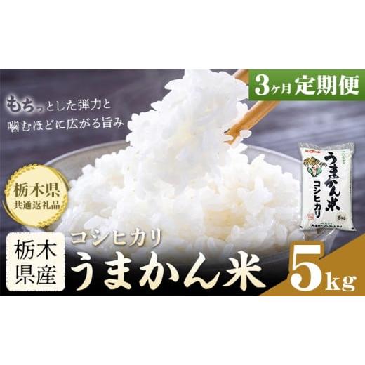 ふるさと納税 米 コシヒカリ 栃木県 野木町 令和7年産 米 お米 コシヒカリ うまかん米 3ヶ月 定期便 5kg JAおやま [30日以内に出荷予定(土日祝除く)] 栃木県…