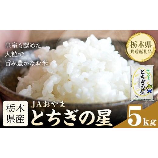 ふるさと納税 米 栃木県 野木町 令和7年産 米 お米 とちぎの星 5kg JAおやま[30日以内に出荷予定(土日祝除く)] 栃木県 野木町産 コメ 米 ブランド米 とちぎ…