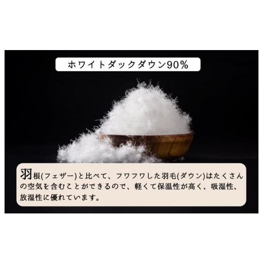 ふるさと納税 タオル・寝具 掛け布団 奈良県 河合町 洗える羽毛布団 シングル クリーム ダウン90% 0.3kg ダウンケット クリーム 洗濯可能 日本製 春夏用 夏掛…_3