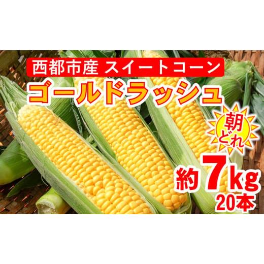 ふるさと納税 宮崎県 西都市 初夏の味覚! 朝どれ スイートコーン ゴールドラッシュ7kg 20本 5月発送開始 西都市産とうもろこし [先行予約]とうもろこしラン…