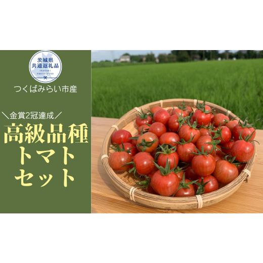 ふるさと納税 茨城県 利根町 フルーツトマト詰め合わせ3.4kg(茨城県共通返礼品/つくばみらい市産)