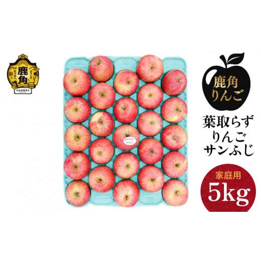 ふるさと納税 りんご 秋田県 鹿角市 訳あり 葉取らずりんご サンふじ 家庭用 小玉 5kg(23〜25玉) 録政園 葉とらず みずみずしい 果汁 リンゴ 林檎 完熟 旬 …