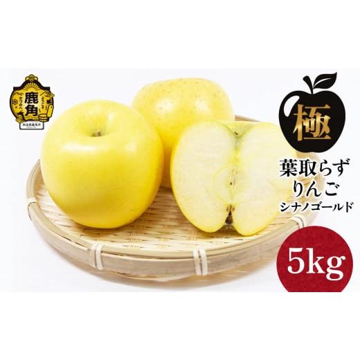 ふるさと納税 りんご 秋田県 鹿角市 [極]葉取らずりんご シナノゴールド 5kg(13〜20玉) 録政園 葉とらず みずみずしい 果汁 リンゴ 林檎 完熟 旬 県産りん…