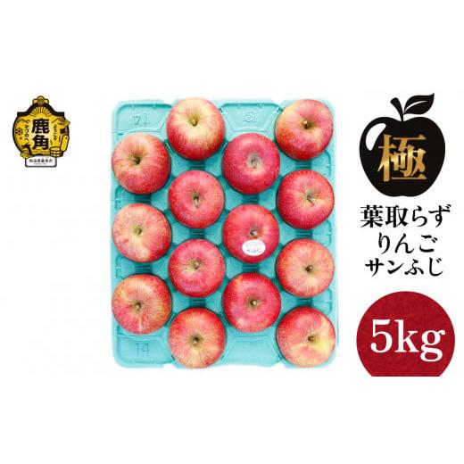 ふるさと納税 りんご 秋田県 鹿角市 [極]葉取らずりんご サンふじ 5kg(13〜20玉) 録政園 葉とらず みずみずしい 果汁 リンゴ 林檎 完熟 旬 県産りんご お…