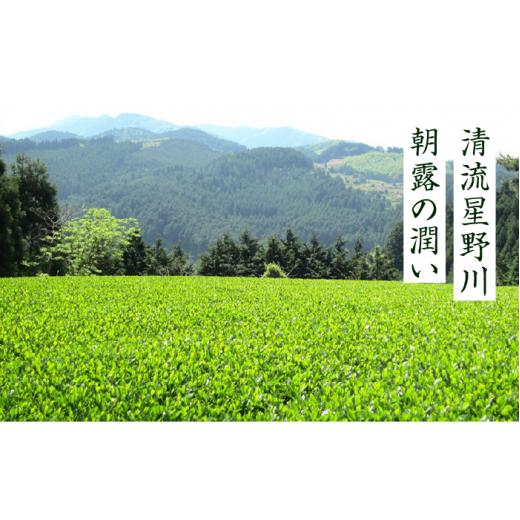 ふるさと納税 お茶類 緑茶（茶葉・ティーバッグ） 福岡県 築上町  全12回定期便 奥八女星野村 八女茶 伝統本玉露 50g ×2袋《築上町》 株式会社ベネフィス ABD…の画像