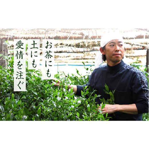 ふるさと納税 お茶類 緑茶（茶葉・ティーバッグ） 福岡県 築上町  全3回定期便 奥八女星野村 八女茶 伝統本玉露 50g ×1袋《築上町》 株式会社ベネフィス ABDF…の画像