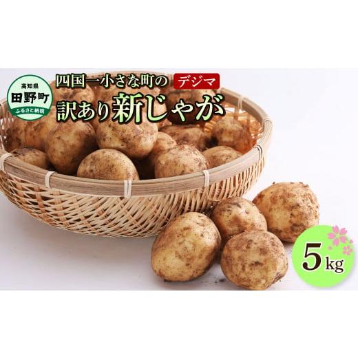 ふるさと納税 野菜類 じゃがいも 高知県 田野町 先行受付:2026年5月発送開始 大野台地で採れた令和8年産新じゃがいも『デジマ』5kg訳あり品 イモ ジャガイモ…