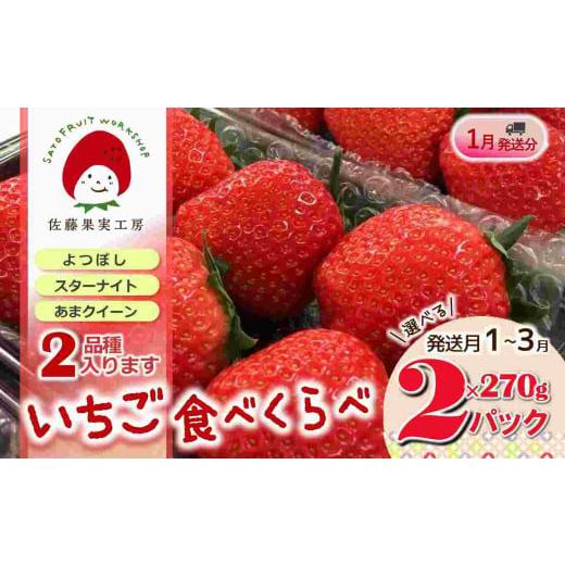ふるさと納税 いちご 兵庫県 西脇市 [2026年産先行予約]「西脇市産 旬のいちご2品種食べ比べセット」(1箱2パック) 佐藤果実工房 全国いちご選手権銀賞受…