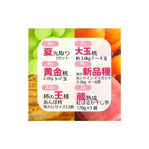 ふるさと納税 ぶどう マスカット 山梨県 笛吹市  定期便：全6回 極み四重奏 季節ごとの最高品を産地直送 088-017_2