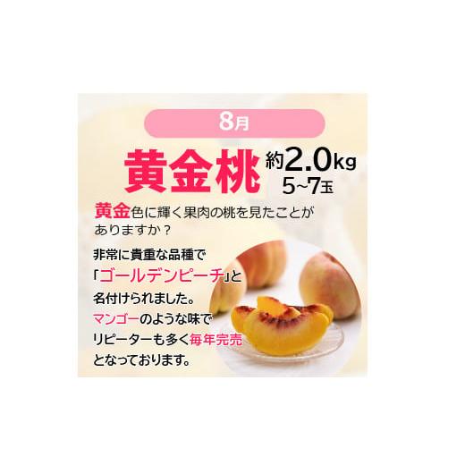 ふるさと納税 ぶどう マスカット 山梨県 笛吹市  定期便：全6回 極み四重奏 季節ごとの最高品を産地直送 088-017_5
